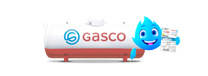 Descripción de la imagen